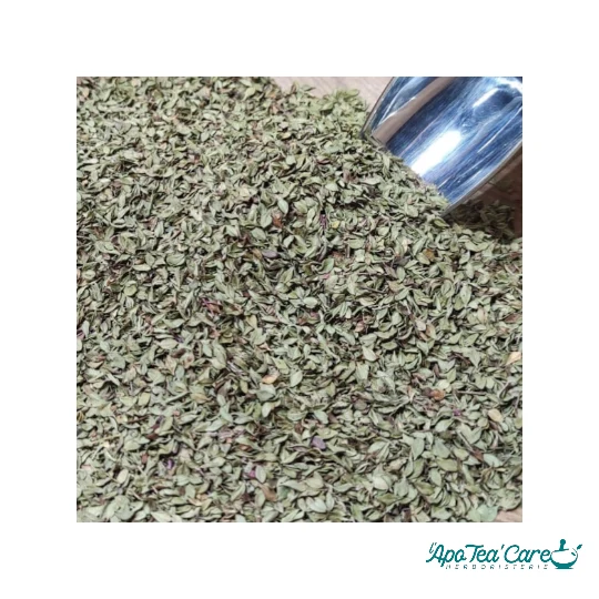 Thym Citron Bio Feuille - Notes Citronnées & Digestion