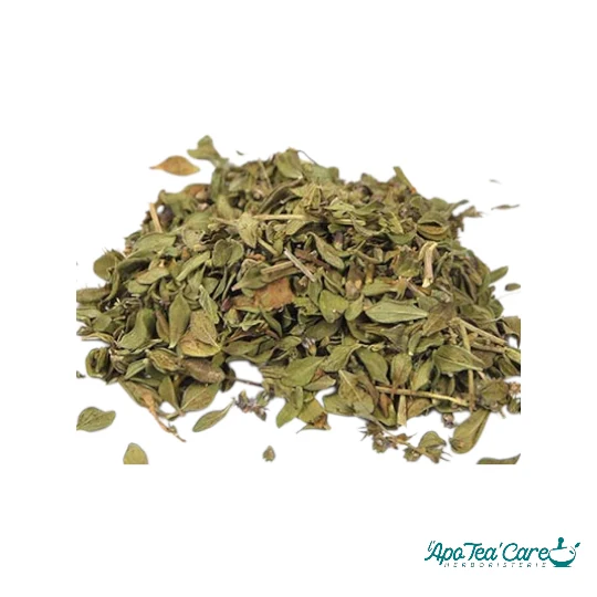 Thym Citron Bio Feuille - Notes Citronnées & Digestion