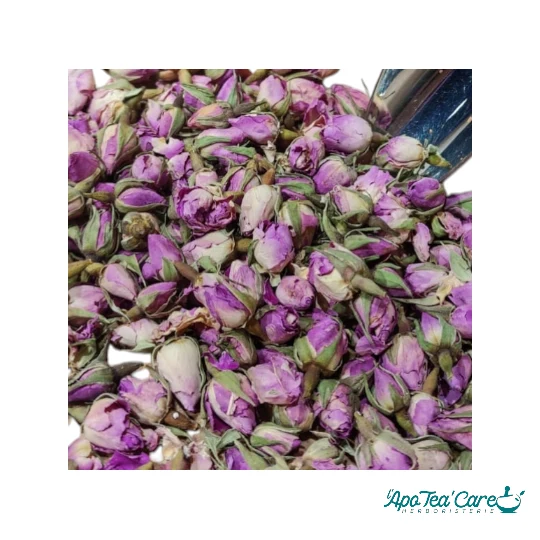 Rose de Damas Bouton Floral - Bien-être & Infusion Délicate