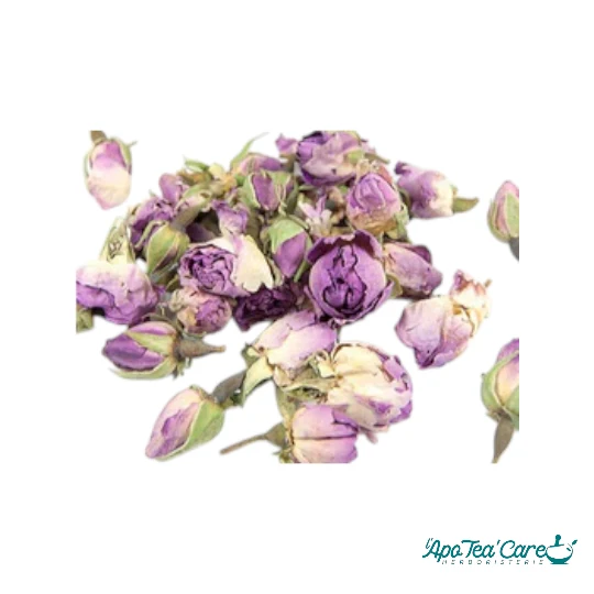 Rose de Damas Bouton Floral - Bien-être & Infusion Délicate