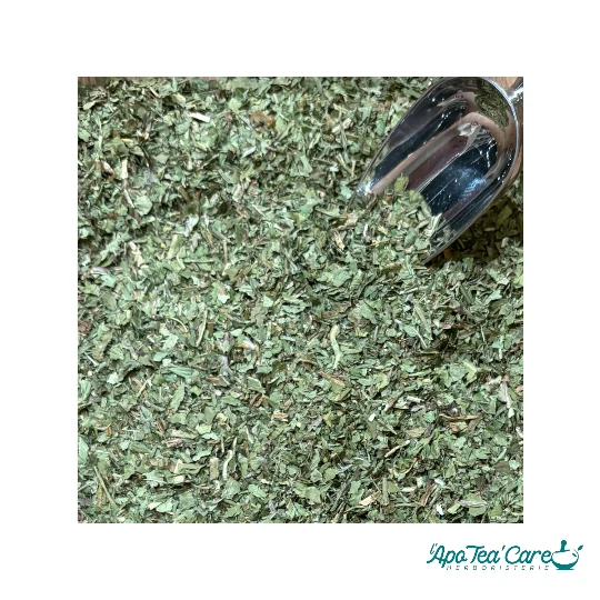 Pissenlit Feuille Coupée - Détox & Drainage Naturel