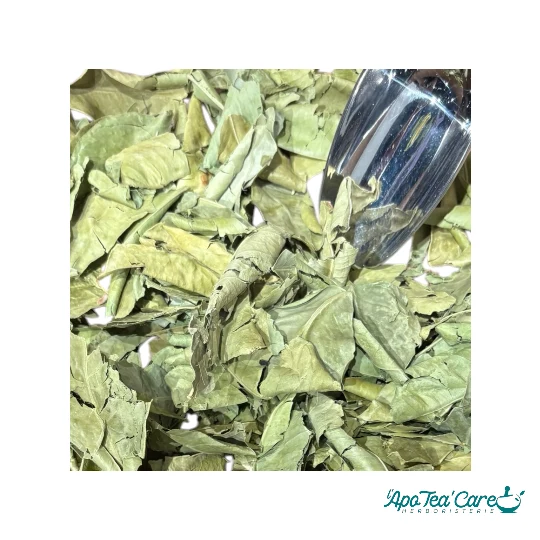 Oranger Bigaradier Feuille Triée - Relaxation & Sommeil