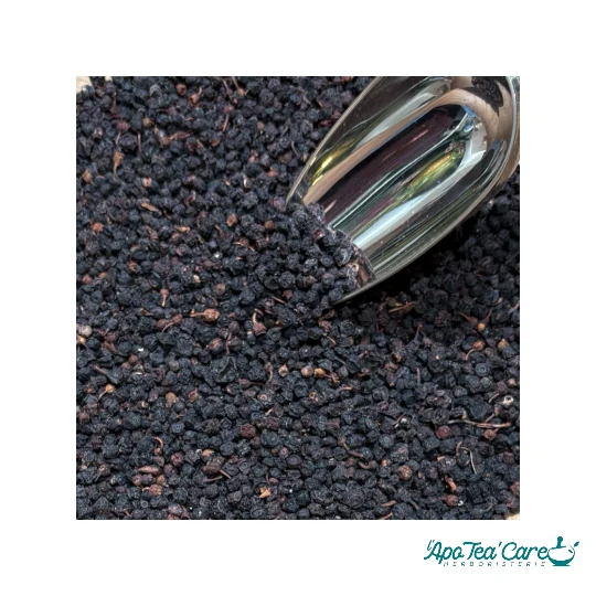 Myrtille Baie - Vision & Antioxydants Naturels