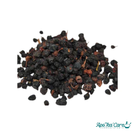 Myrtille Baie - Vision & Antioxydants Naturels