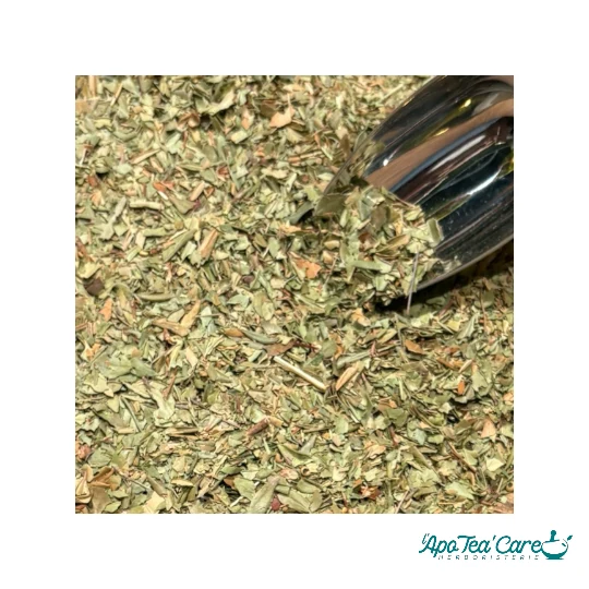 Myrte Feuille Coupée - Confort Respiratoire & Urinaire