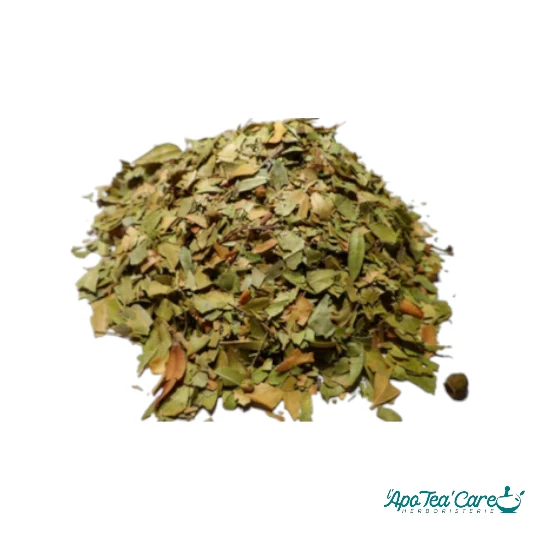 Myrte Feuille Coupée - Confort Respiratoire & Urinaire