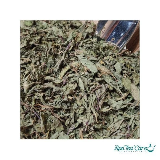 Menthe Poivrée Feuille Entière - Digestion & Fraîcheur Intense