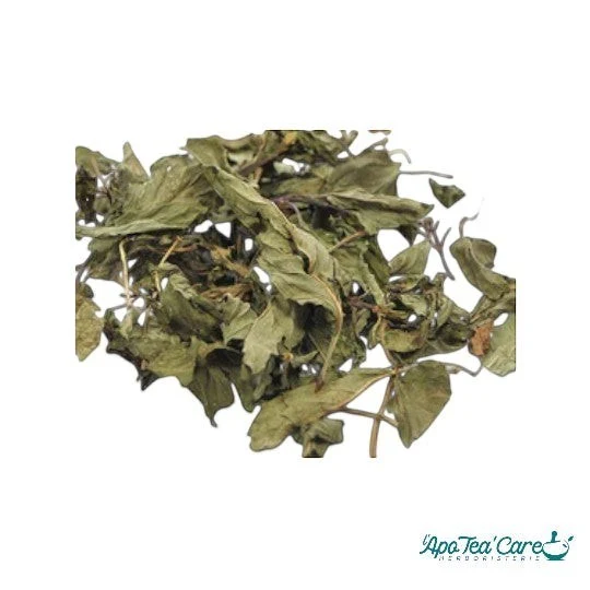 Menthe Poivrée Feuille Entière - Digestion & Fraîcheur Intense