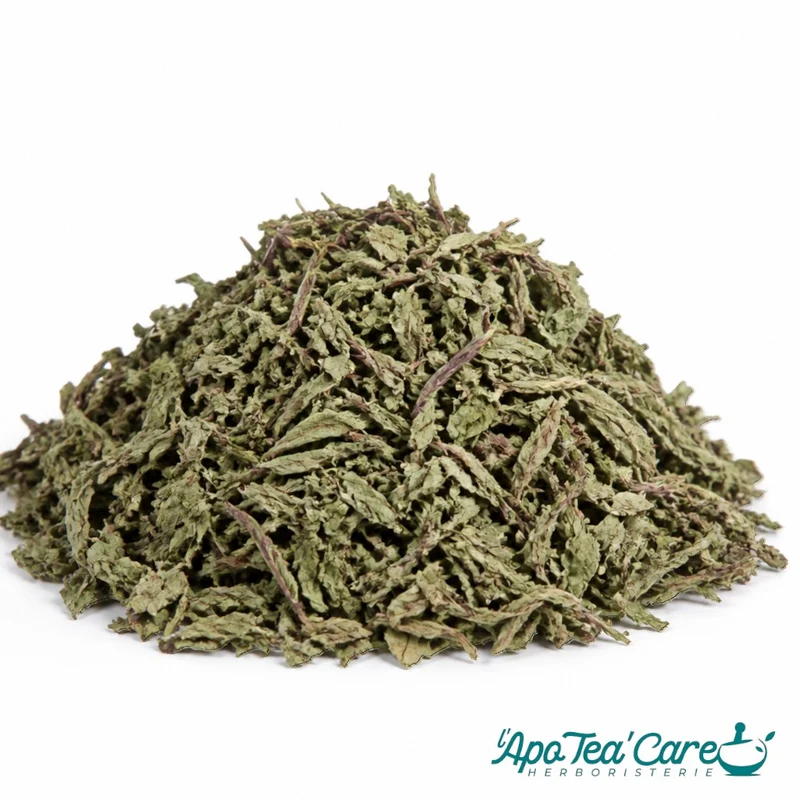 Menthe Poivrée Feuille Entière - Digestion & Fraîcheur Intense