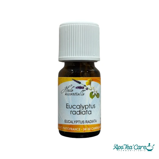 Huile Essentielle Eucalyptus Radié 10ml