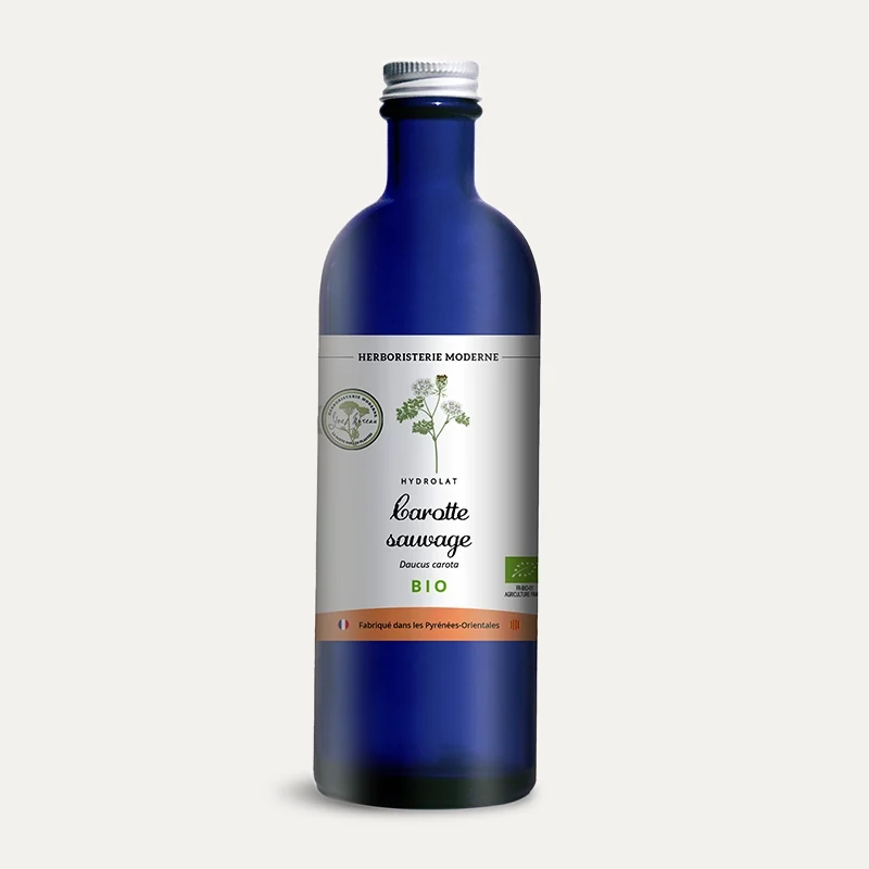 Hydrolat - Carotte sauvage BIO des Pyrénées-Orientales