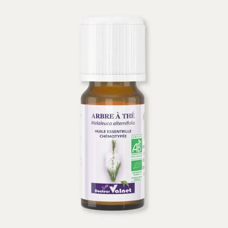 Huile essentielle Tea Tree - Arbre à Thé BIO