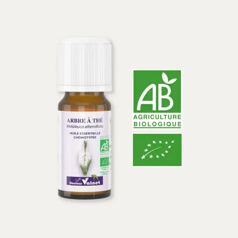 Huile essentielle Tea Tree - Arbre à Thé BIO