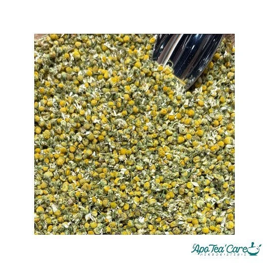 Camomille Matricaire Capitule Floral Extra - Sommeil & Digestion