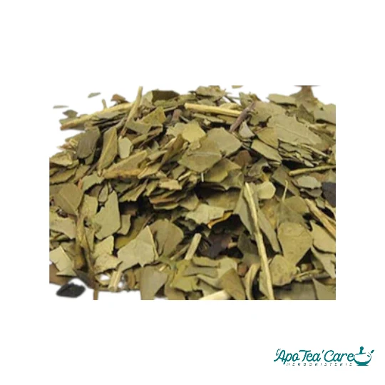 Maté Vert Bio Feuille Coupée - Énergie & Concentration Naturelle