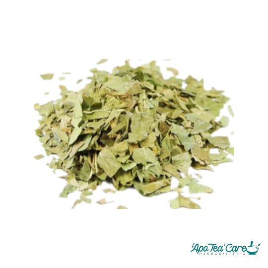Gymnema Sylvestris Feuille Coupée - Aide au Maintien de la Glycémie