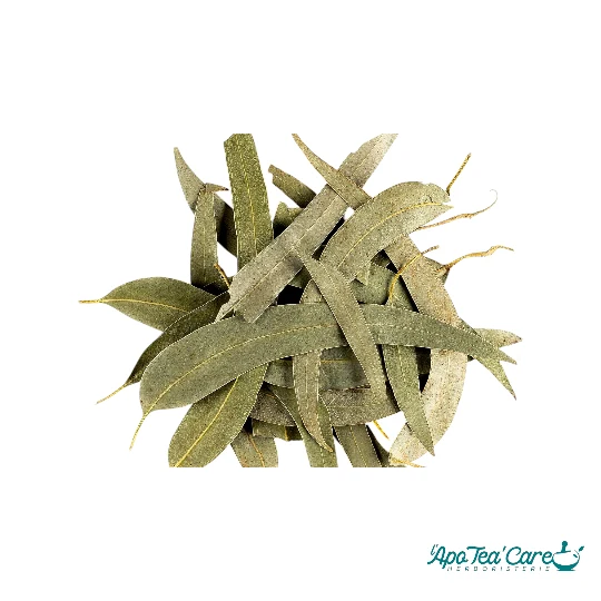 Eucalyptus Feuilles Entières – Respiration & Glycémie | Cailleau