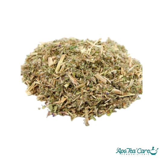 Épilobe à Petites Fleurs – Infusion Phytothérapie Traditionnelle