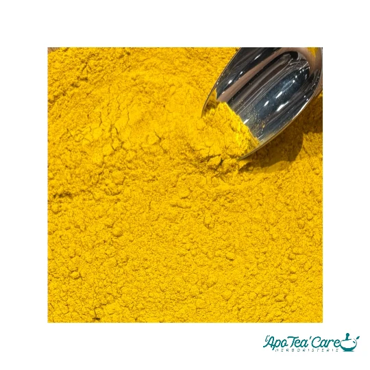 Curry des Indes Extra Poudre - Mélange d'Épices Authentique
