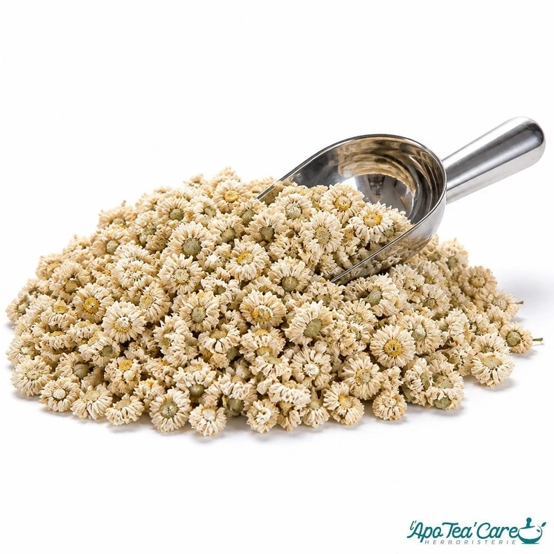 Camomille Romaine Fleur Triée - Digestion et Détente