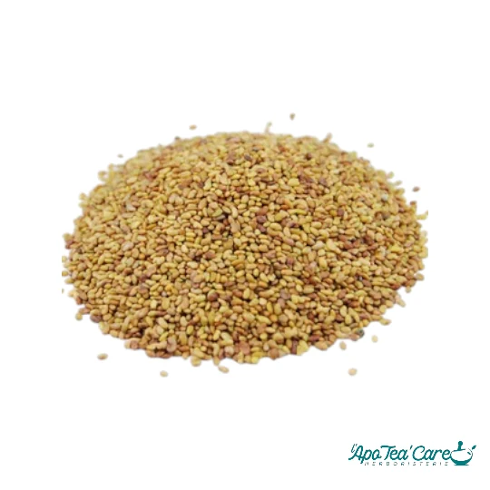 Alfalfa (Luzerne) Bio Graine – Santé Osseuse & Vitalité