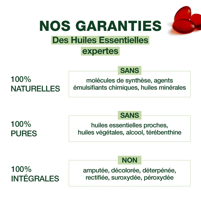 Oleocaps 2 - Santé intestinale - Bio