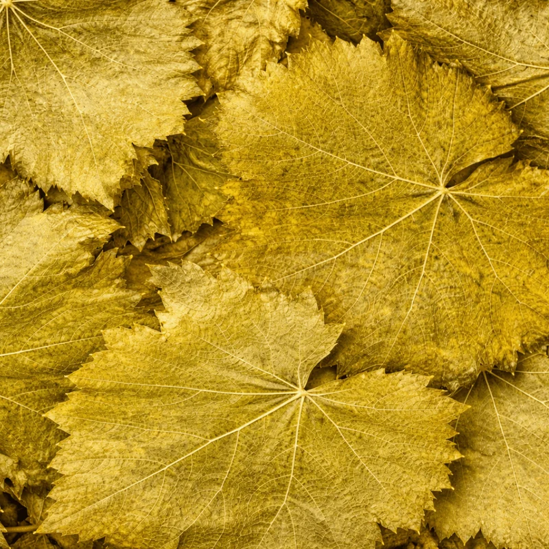 Feuilles de Vigne Séchées – Al Enab | 50g / 100g / 200g
