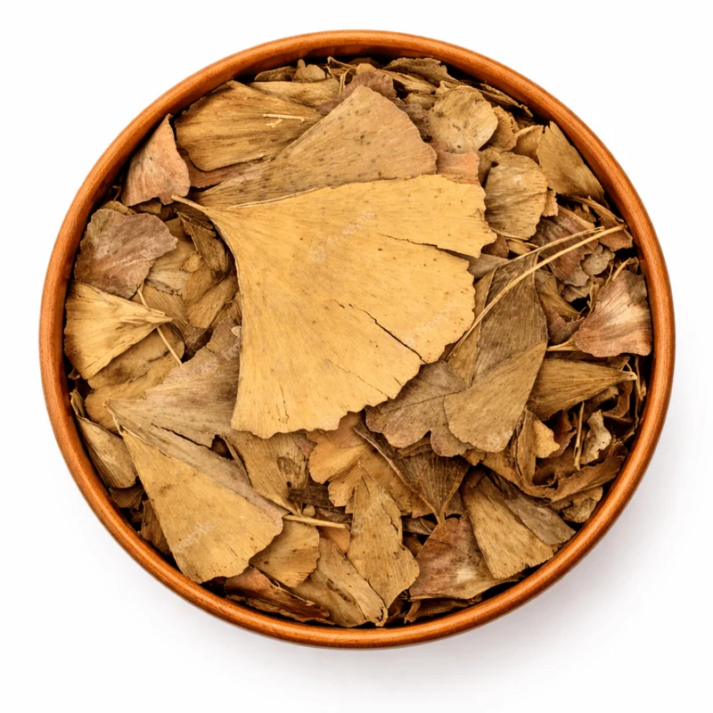 Feuilles de Ginkgo Biloba Séchées – Infusion & Bien-être Naturel