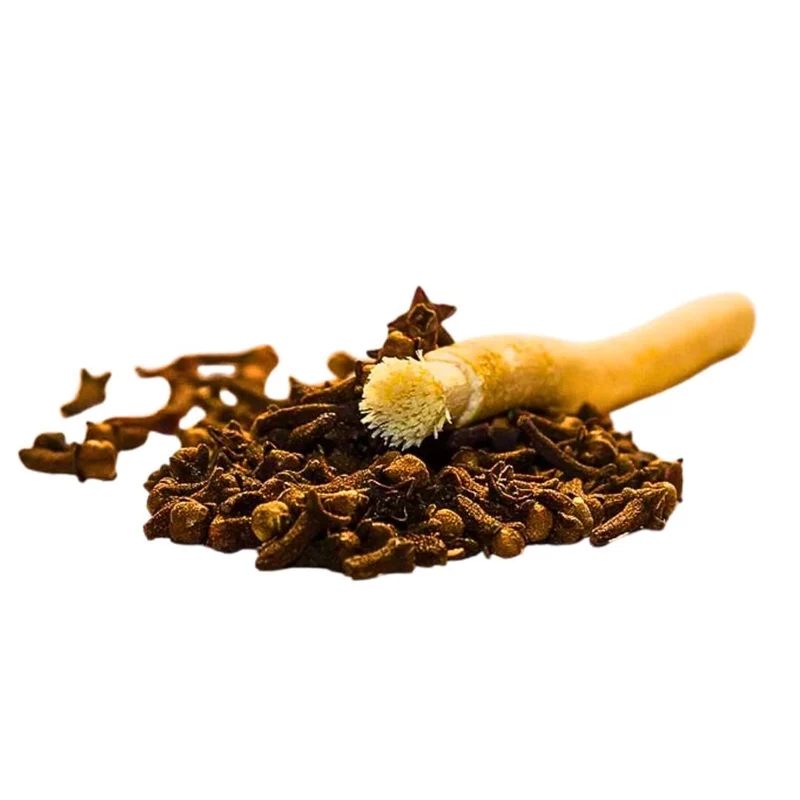 Siwak Clou de Girofle - Brosse à Dents Naturelle et Blanchissante
