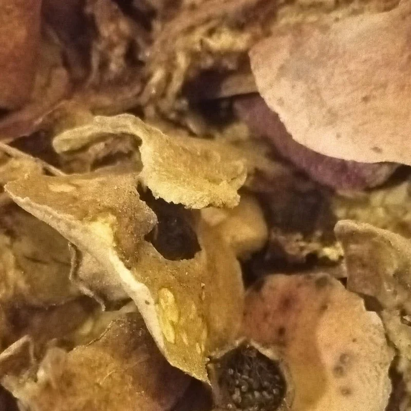 Peaux de Grenadine Séchées du Maroc