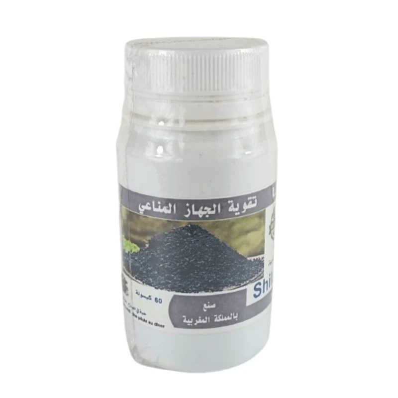 Shilajit Himalayen – 60 Comprimés 500 mg