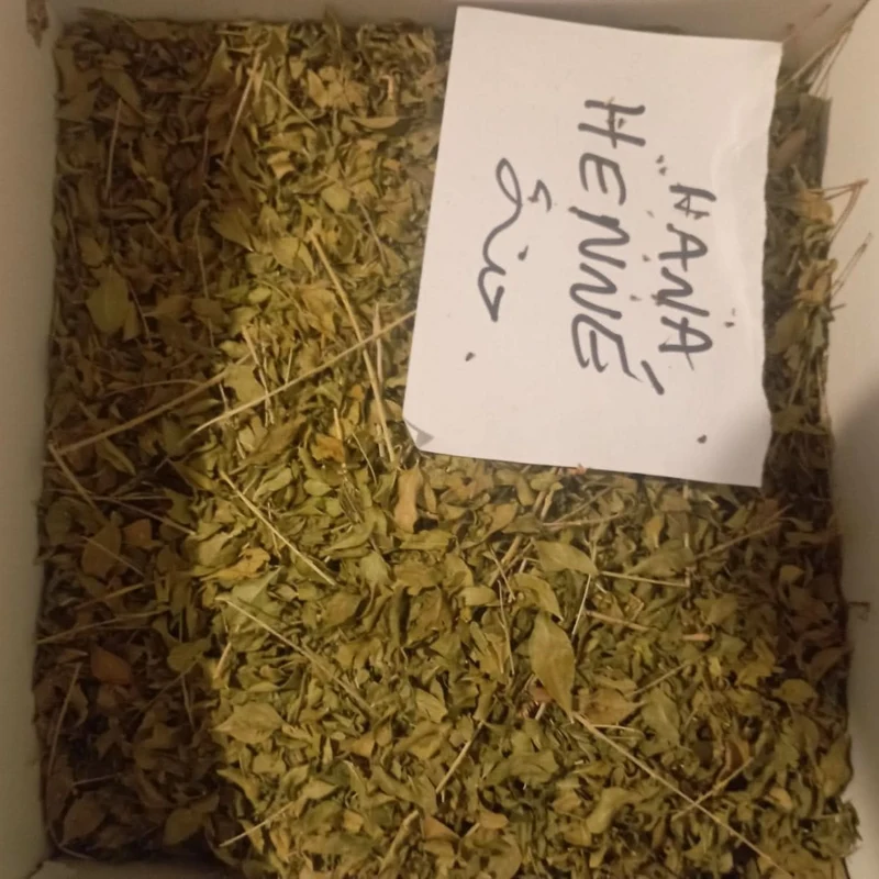 Henné Marocain de Qualité Supérieure - Plante Naturelle