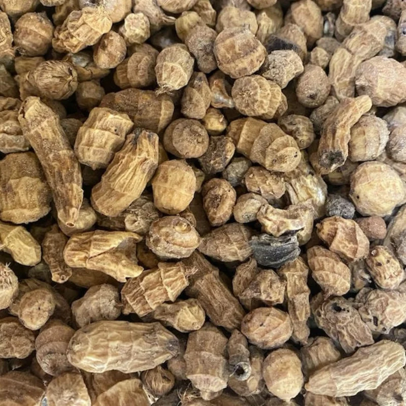 Habat el Aziz Souchet / Tiger Nut | Riche en Minéraux et Vitamines