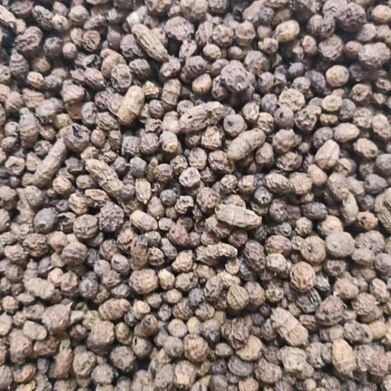 Habat el Aziz Souchet / Tiger Nut | Riche en Minéraux et Vitamines