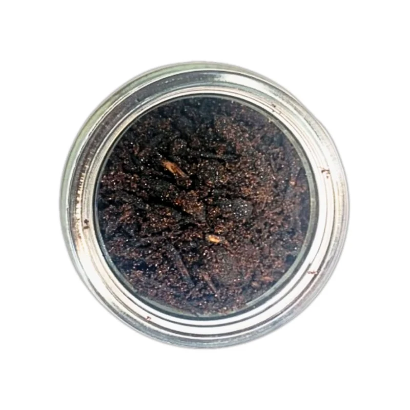 Encens Bukhor Tohfa 50g | Bakhour Oud d'Arabie Saoudite