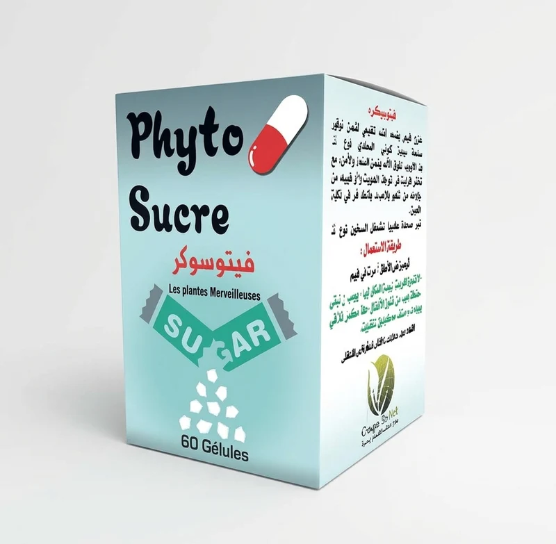 Phyto Balance 60 Gélules – Complément Alimentaire Formule Végétale | Routine Quotidienne