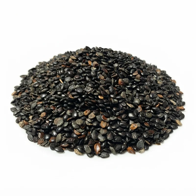 Habbat el Baraka – Grosse Graine Noire | Graines 100 % Naturelles