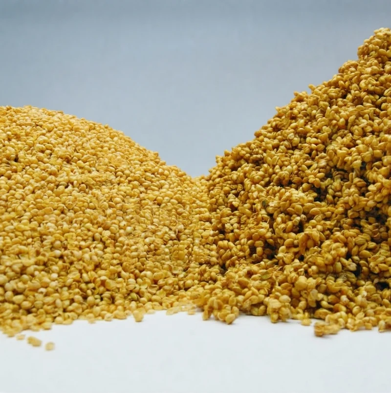Millet Chandelle Entier | Céréale Riche en Fibres, Protéines et Minéraux – Faible en Gras