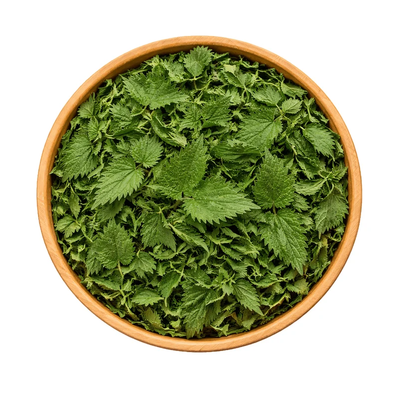 Feuilles d’Ortie Piquante – Urtica Dioica | infusion et soin capillaire
