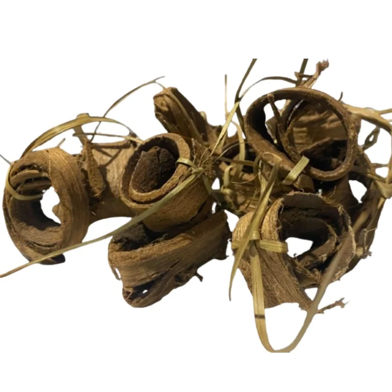 Siwak Marocain Authentique – Misswak Brosse à Dents Naturelle Traditionnelle