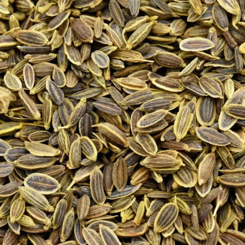 Graines d'Aneth Naturelles - 50g, 100g, 200g