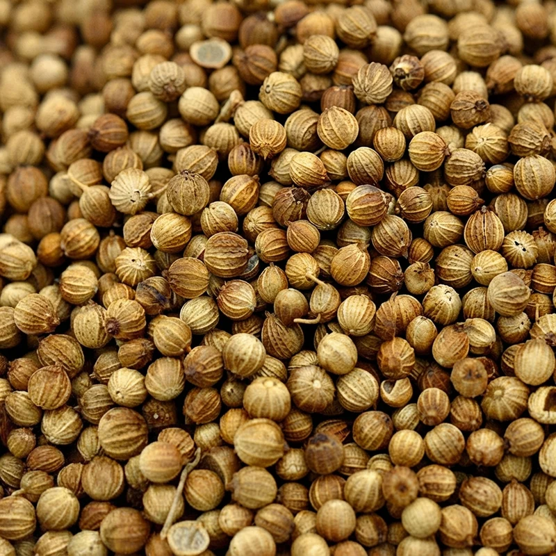 Graines de Coriandre – 50g, 100g ou 200g | Qualité Premium & Soutien Digestif