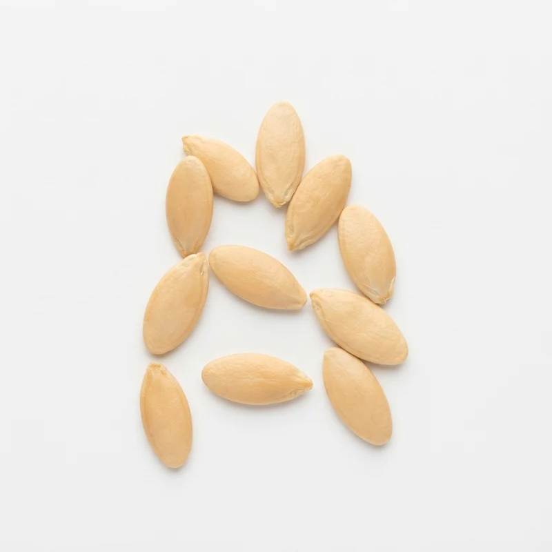 Graines de Concombre 50g | 100g | 200g | La fraîcheur naturelle à portée de main