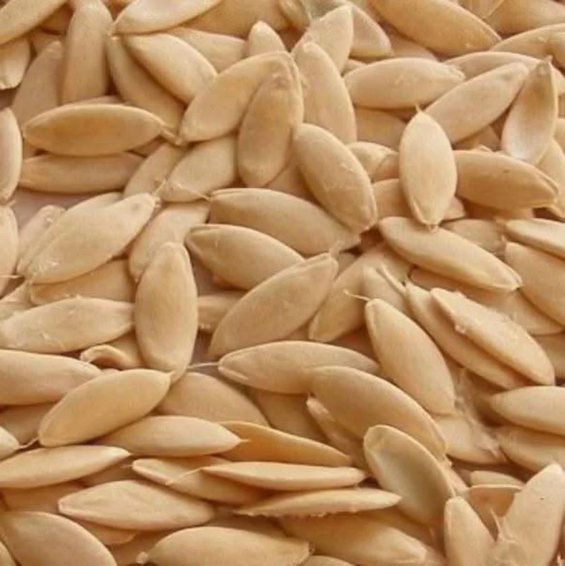 Graines de Concombre 50g | 100g | 200g | La fraîcheur naturelle à portée de main