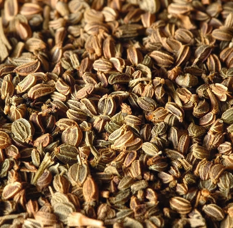 Graines de Céleri 50g | 100g | 200g | La pureté naturelle pour votre bien-être