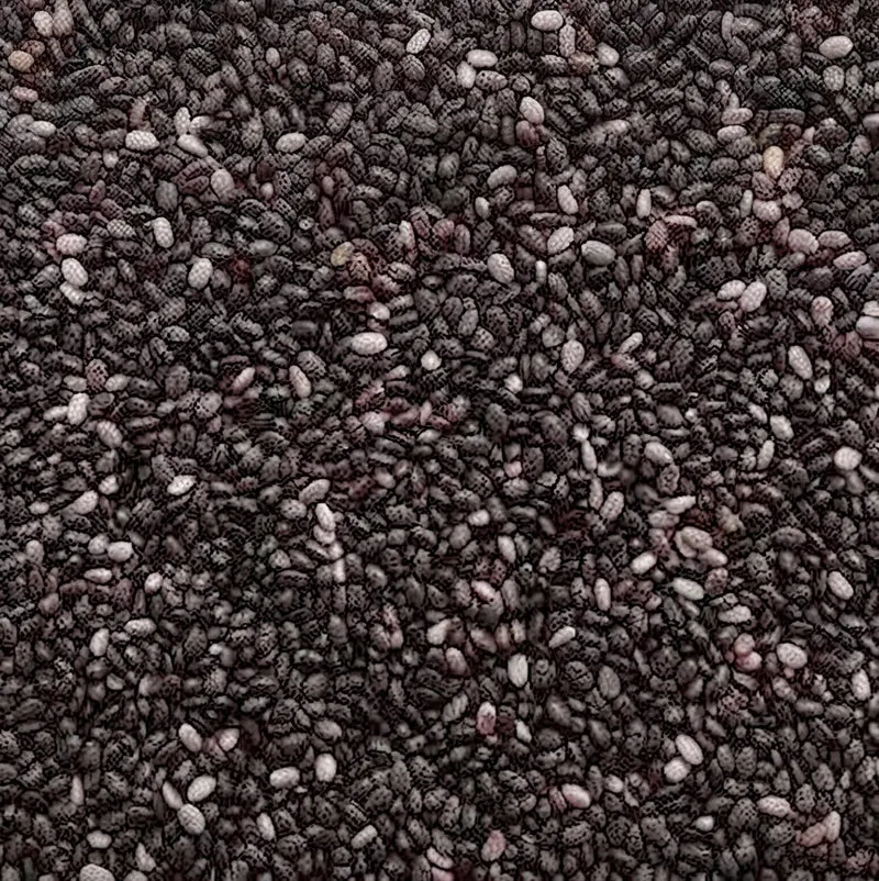 Graines de Menthe 50g | 100g | 200g | Fraîcheur naturelle à portée de main