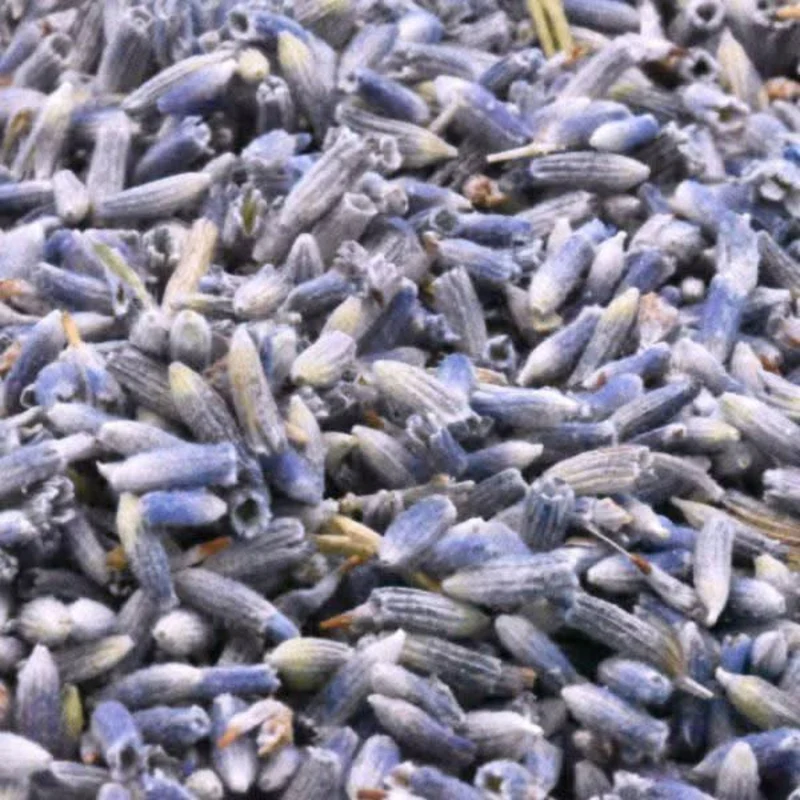 Graines de Lavande – Soins et Infusions Relaxants