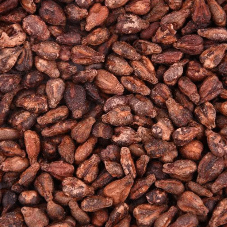 Pépins de Raisin Naturels – Vrac 5g à 200g | 100% Naturels & Polyvalents