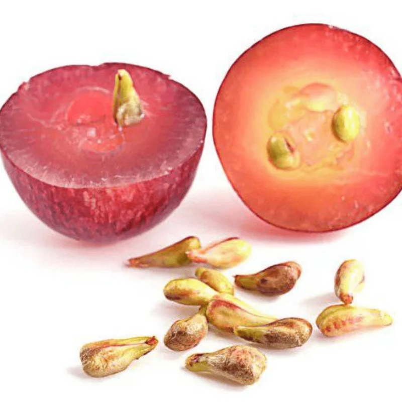 Pépins de Raisin Naturels – Vrac 5g à 200g | 100% Naturels & Polyvalents