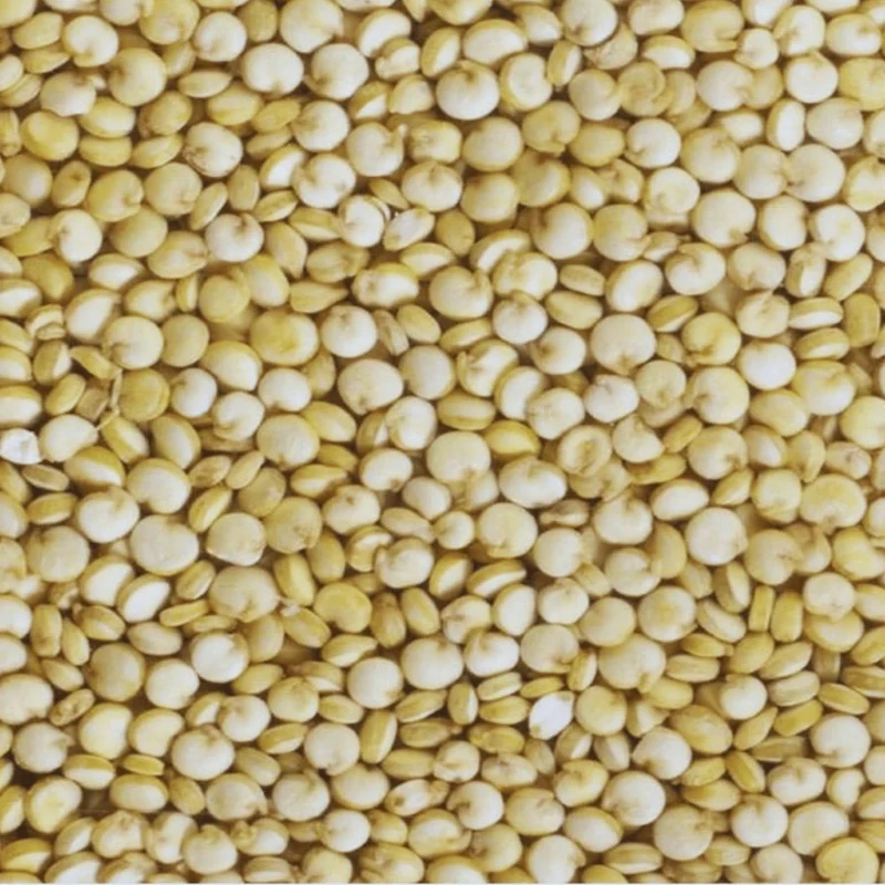 Graines de Quinoa 50g 100g 200g | Legumes quinoa | Graines à germer